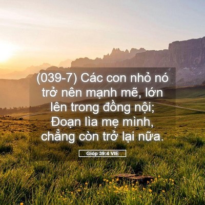 Picture 05 - Gióp 39:4 VIE - (039-7) Các con nhỏ nó trở nên mạnh - Bible Verse Picture