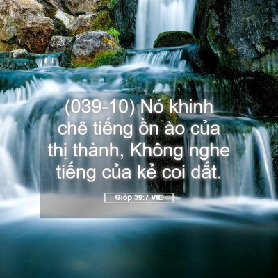 Picture 05 - Gióp 39:7 VIE - (039-10) Nó khinh chê tiếng ồn ào của - Bible Verse Picture