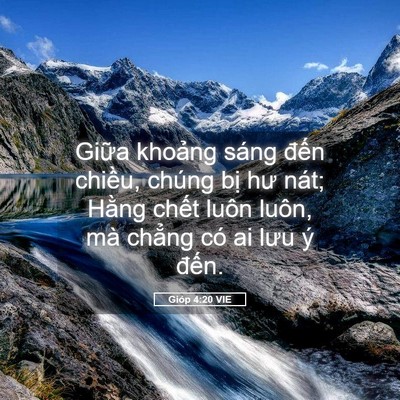 Picture 05 - Gióp 4:20 VIE - Giữa khoảng sáng đến chiều, chúng bị - Bible Verse Picture