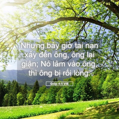 Picture 05 - Gióp 4:5 VIE - Nhưng bây giờ tai nạn xảy đến ông, - Bible Verse Picture