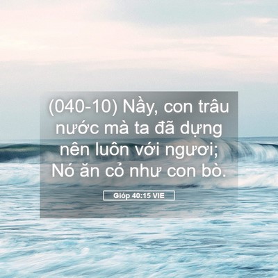 Picture 05 - Gióp 40:15 VIE - (040-10) Nầy, con trâu nước mà ta đã - Bible Verse Picture