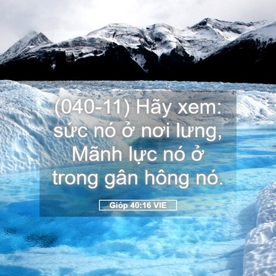 Picture 05 - Gióp 40:16 VIE - (040-11) Hãy xem: sức nó ở nơi lưng, - Bible Verse Picture