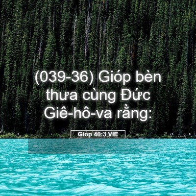 Picture 05 - Gióp 40:3 VIE - (039-36) Gióp bèn thưa cùng Đức - Bible Verse Picture