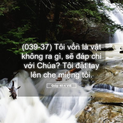Picture 05 - Gióp 40:4 VIE - (039-37) Tôi vốn là vật không ra gì, sẽ - Bible Verse Picture