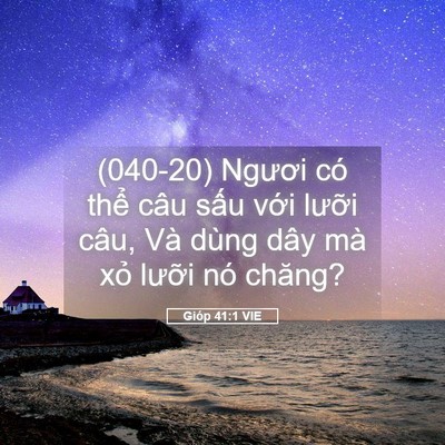 Picture 05 - Gióp 41:1 VIE - (040-20) Ngươi có thể câu sấu với - Bible Verse Picture