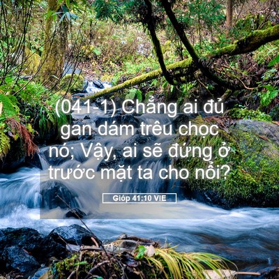 Picture 05 - Gióp 41:10 VIE - (041-1) Chẳng ai đủ gan dám trêu chọc - Bible Verse Picture
