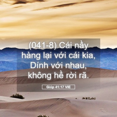 Picture 05 - Gióp 41:17 VIE - (041-8) Cái nầy hàng lại với cái kia, - Bible Verse Picture