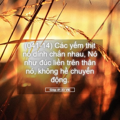 Picture 05 - Gióp 41:23 VIE - (041-14) Các yếm thịt nó dính chắn nhau, - Bible Verse Picture