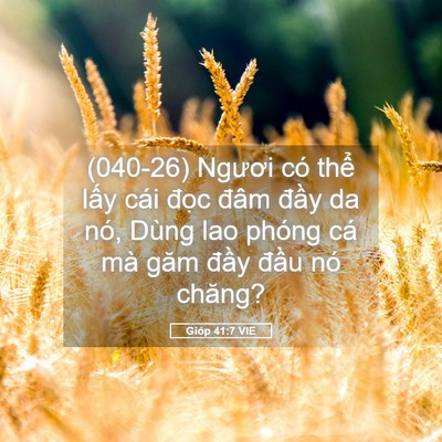 Picture 05 - Gióp 41:7 VIE - (040-26) Ngươi có thể lấy cái đọc - Bible Verse Picture