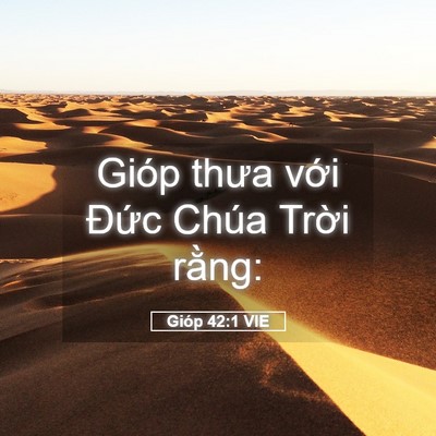 Picture 05 - Gióp 42:1 VIE - Gióp thưa với Đức Chúa Trời - Bible Verse Picture