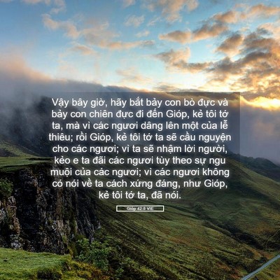 Picture 05 - Gióp 42:8 VIE - Vậy bây giờ, hãy bắt bảy con bò đực - Bible Verse Picture