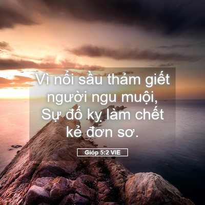 Picture 05 - Gióp 5:2 VIE - Vì nổi sầu thảm giết người ngu - Bible Verse Picture