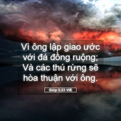 Picture 05 - Gióp 5:23 VIE - Vì ông lập giao ước với đá đồng - Bible Verse Picture
