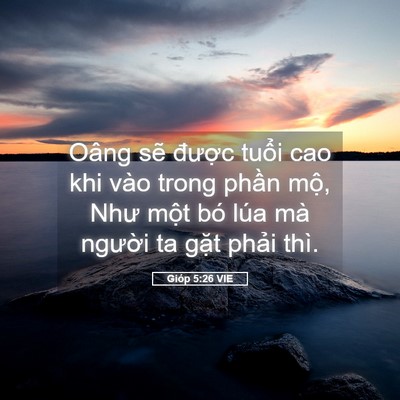 Picture 05 - Gióp 5:26 VIE - Oâng sẽ được tuổi cao khi vào trong - Bible Verse Picture