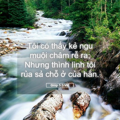 Picture 05 - Gióp 5:3 VIE - Tôi có thấy kẻ ngu muội châm rễ ra; - Bible Verse Picture