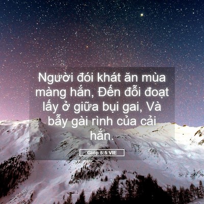 Picture 05 - Gióp 5:5 VIE - Người đói khát ăn mùa màng hắn, Đến - Bible Verse Picture