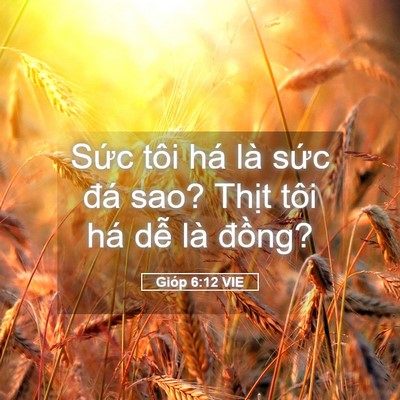 Picture 05 - Gióp 6:12 VIE - Sức tôi há là sức đá sao? Thịt tôi - Bible Verse Picture