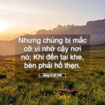 Picture 05 - Gióp 6:20 VIE - Nhưng chúng bị mắc cỡ vì nhờ cậy - Bible Verse Picture