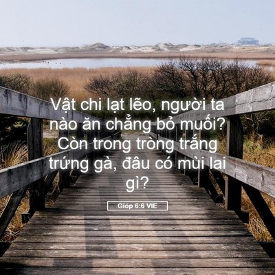 Picture 05 - Gióp 6:6 VIE - Vật chi lạt lẽo, người ta nào ăn - Bible Verse Picture