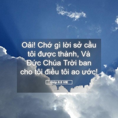 Picture 05 - Gióp 6:8 VIE - Oâi! Chớ gì lời sở cầu tôi được - Bible Verse Picture
