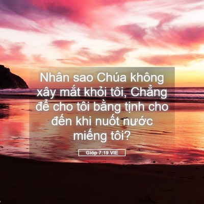 Picture 05 - Gióp 7:19 VIE - Nhân sao Chúa không xây mắt khỏi tôi, - Bible Verse Picture