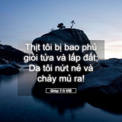 Picture 05 - Gióp 7:5 VIE - Thịt tôi bị bao phủ giòi tửa và lấp - Bible Verse Picture