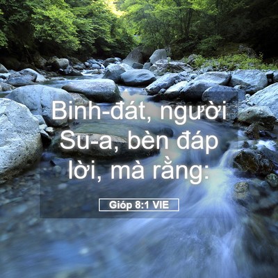 Picture 05 - Gióp 8:1 VIE - Binh-đát, người Su-a, bèn đáp lời, mà - Bible Verse Picture