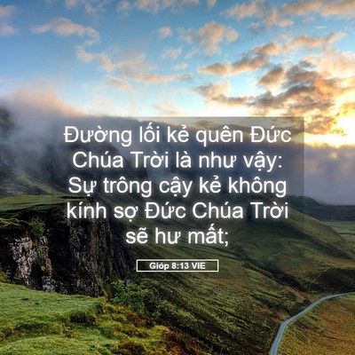 Picture 05 - Gióp 8:13 VIE - Đường lối kẻ quên Đức Chúa Trời - Bible Verse Picture