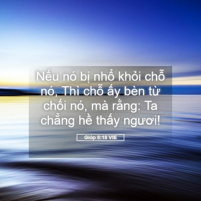 Picture 05 - Gióp 8:18 VIE - Nếu nó bị nhổ khỏi chỗ nó, Thì chỗ - Bible Verse Picture