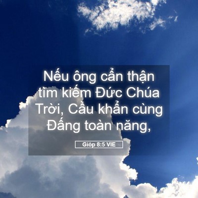 Picture 05 - Gióp 8:5 VIE - Nếu ông cẩn thận tìm kiếm Đức Chúa - Bible Verse Picture