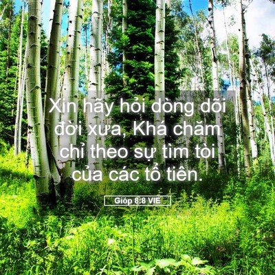 Picture 05 - Gióp 8:8 VIE - Xin hãy hỏi dòng dõi đời xưa, Khá chăm - Bible Verse Picture