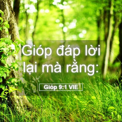 Picture 05 - Gióp 9:1 VIE - Gióp đáp lời lại mà - Bible Verse Picture