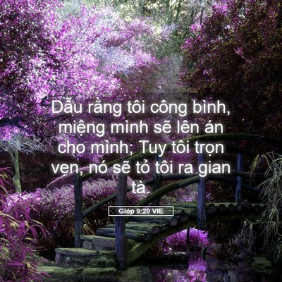 Picture 05 - Gióp 9:20 VIE - Dẫu rằng tôi công bình, miệng mình sẽ - Bible Verse Picture