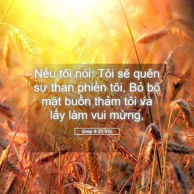 Picture 05 - Gióp 9:27 VIE - Nếu tôi nói: Tôi sẽ quên sự than - Bible Verse Picture