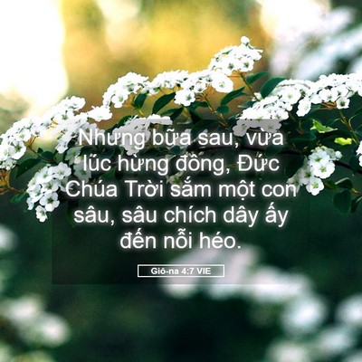 Picture 05 - Giô-na 4:7 VIE - Nhưng bữa sau, vừa lúc hừng đông, - Bible Verse Picture
