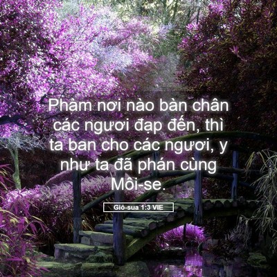 Picture 05 - Giô-sua 1:3 VIE - Phàm nơi nào bàn chân các ngươi đạp - Bible Verse Picture