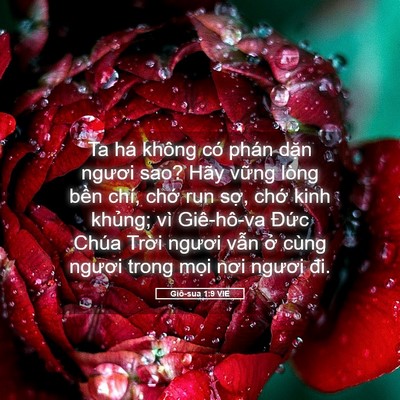 Picture 05 - Giô-sua 1:9 VIE - Ta há không có phán dặn ngươi sao? Hãy - Bible Verse Picture