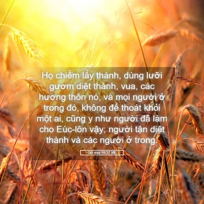 Picture 05 - Giô-sua 10:37 VIE - Họ chiếm lấy thành, dùng lưỡi gươm - Bible Verse Picture