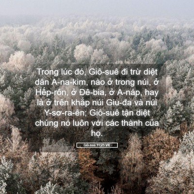 Picture 05 - Giô-sua 11:21 VIE - Trong lúc đó, Giô-suê đi trừ diệt dân - Bible Verse Picture