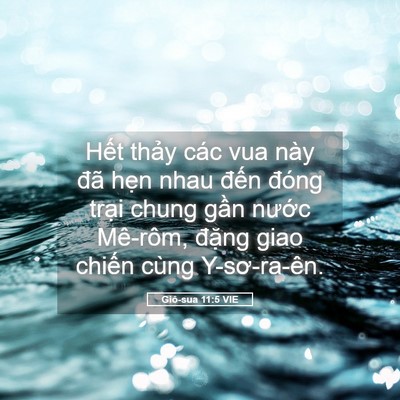 Picture 05 - Giô-sua 11:5 VIE - Hết thảy các vua này đã hẹn nhau đến - Bible Verse Picture