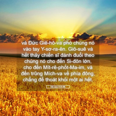 Picture 05 - Giô-sua 11:8 VIE - và Đức Giê-hô-va phó chúng nó vào tay - Bible Verse Picture