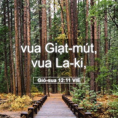 Picture 05 - Giô-sua 12:11 VIE - vua Giạt-mút, vua - Bible Verse Picture