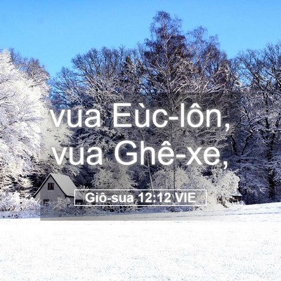 Picture 05 - Giô-sua 12:12 VIE - vua Eùc-lôn, vua - Bible Verse Picture