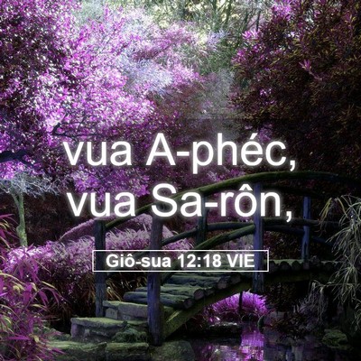 Picture 05 - Giô-sua 12:18 VIE - vua A-phéc, vua - Bible Verse Picture