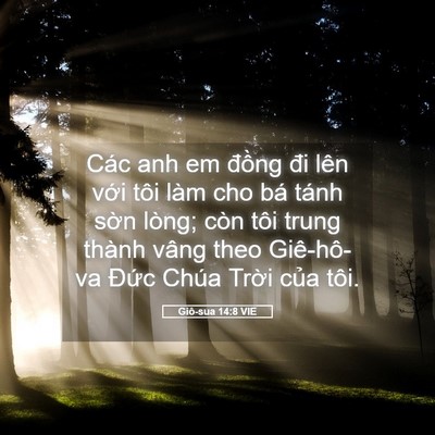 Picture 05 - Giô-sua 14:8 VIE - Các anh em đồng đi lên với tôi làm cho - Bible Verse Picture