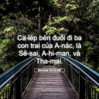Picture 05 - Giô-sua 15:14 VIE - Ca-lép bèn đuổi đi ba con trai của - Bible Verse Picture