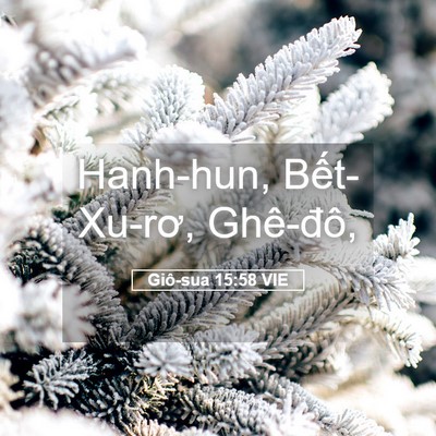 Picture 05 - Giô-sua 15:58 VIE - Hanh-hun, Bết-Xu-rơ, - Bible Verse Picture