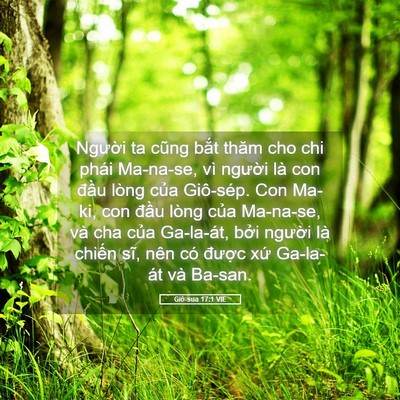 Picture 05 - Giô-sua 17:1 VIE - Người ta cũng bắt thăm cho chi phái - Bible Verse Picture