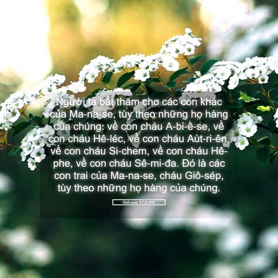 Picture 05 - Giô-sua 17:2 VIE - Người ta bắt thăm cho các con khác của - Bible Verse Picture