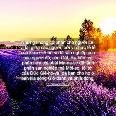 Picture 05 - Giô-sua 18:7 VIE - Nhưng không có phần cho người Lê-vi - Bible Verse Picture